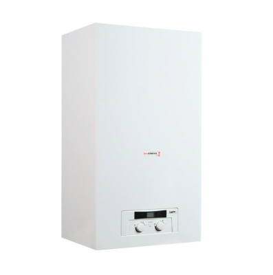 Газовый котёл Protherm Lynx 24 Рысь